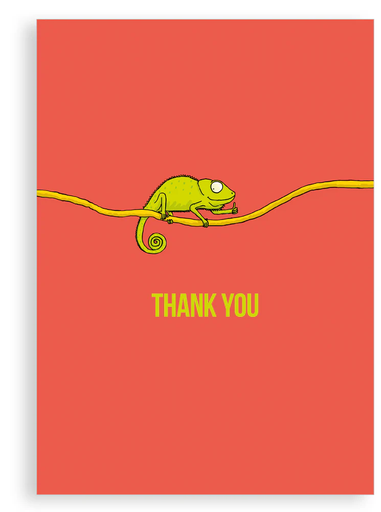 The Essential Greetings Card Set - Pack of 5 mixed Greetings cards - Image 3